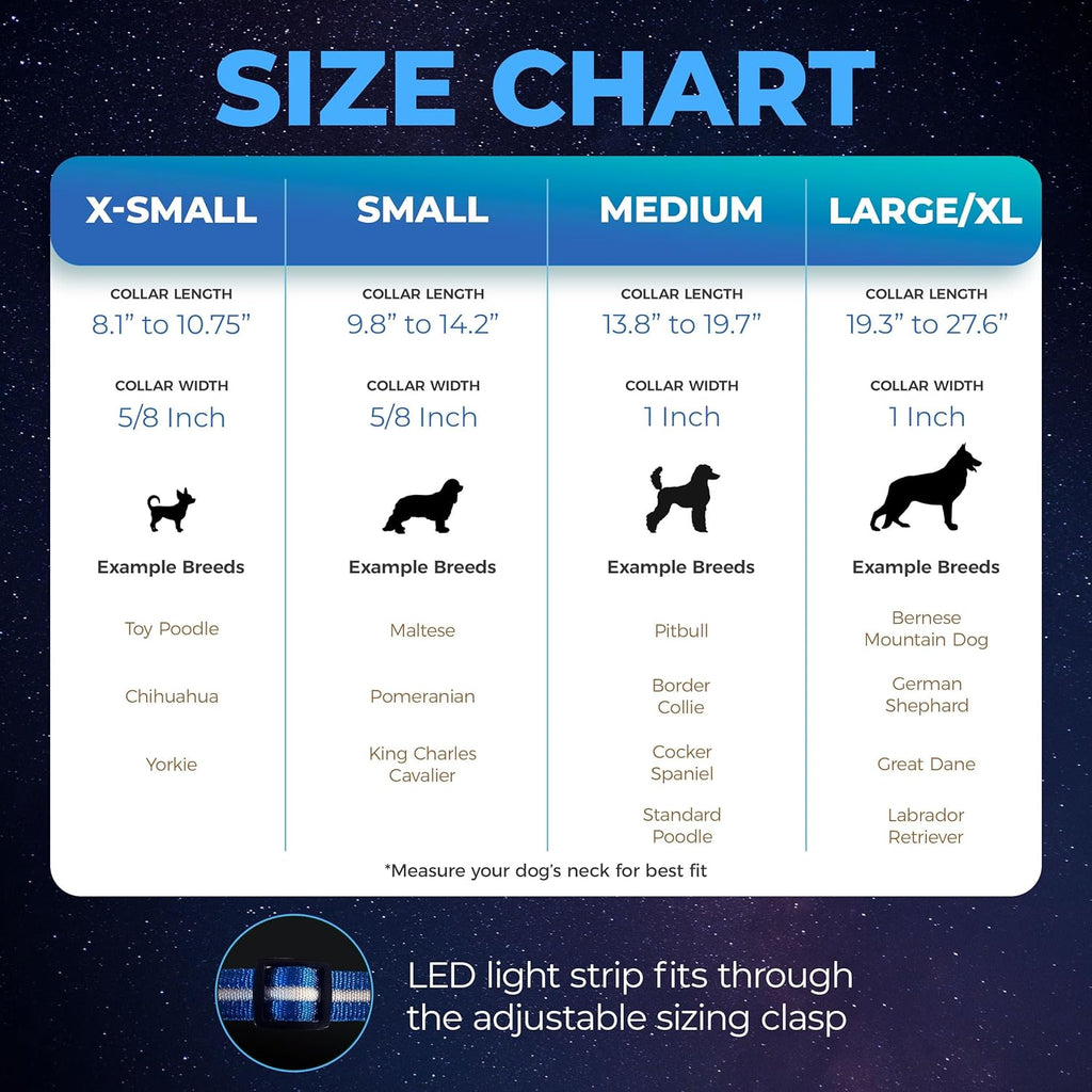 Light up Dog Collar - the Original LED Dog Collar - USB Rechargeable - Waterproof - 1,000 Feet of Visibility - Dog Collar Light for Small, Medium, Large Dogs - USA Brand