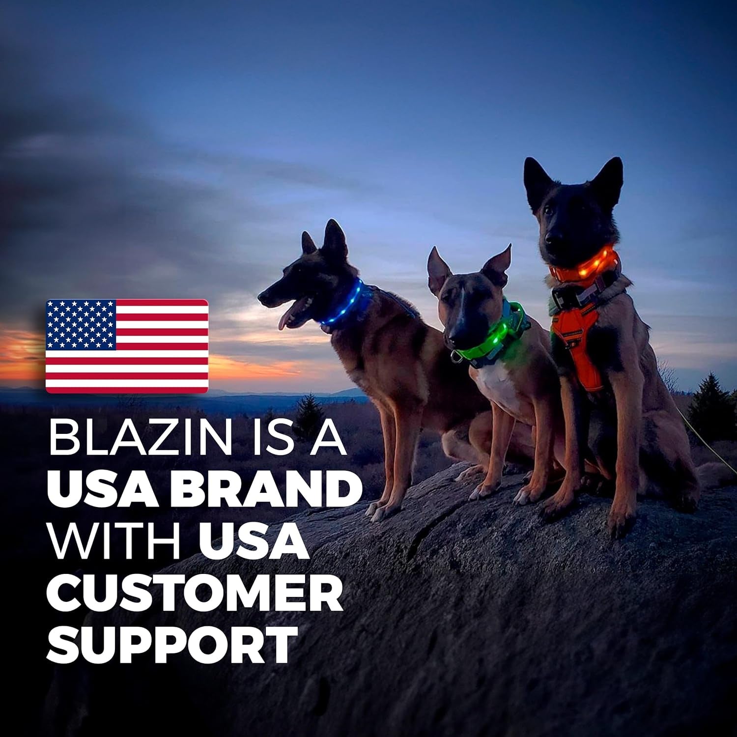 Light up Dog Collar - the Original LED Dog Collar - USB Rechargeable - Waterproof - 1,000 Feet of Visibility - Dog Collar Light for Small, Medium, Large Dogs - USA Brand