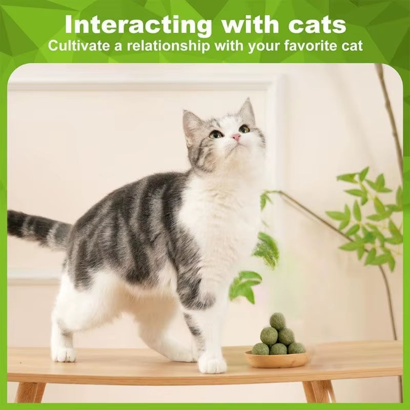 5/10/20Pcs Natural Catnip Balls Kitten Cat Nip Ball Licker Toy for Cats of All Breeds,Lick Ball Toys That Fascinate Pet Cats