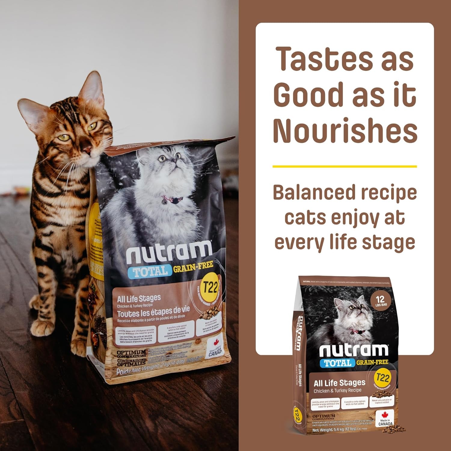 T22 Grain-Free Cat Food – Chicken & Turkey Dry Kibble | Holistic Andhigh Protein, Urinary Support, Clean Nutrition for Adult Cats & Kittens | Supports a Strong Immune System (4.4 Pounds)