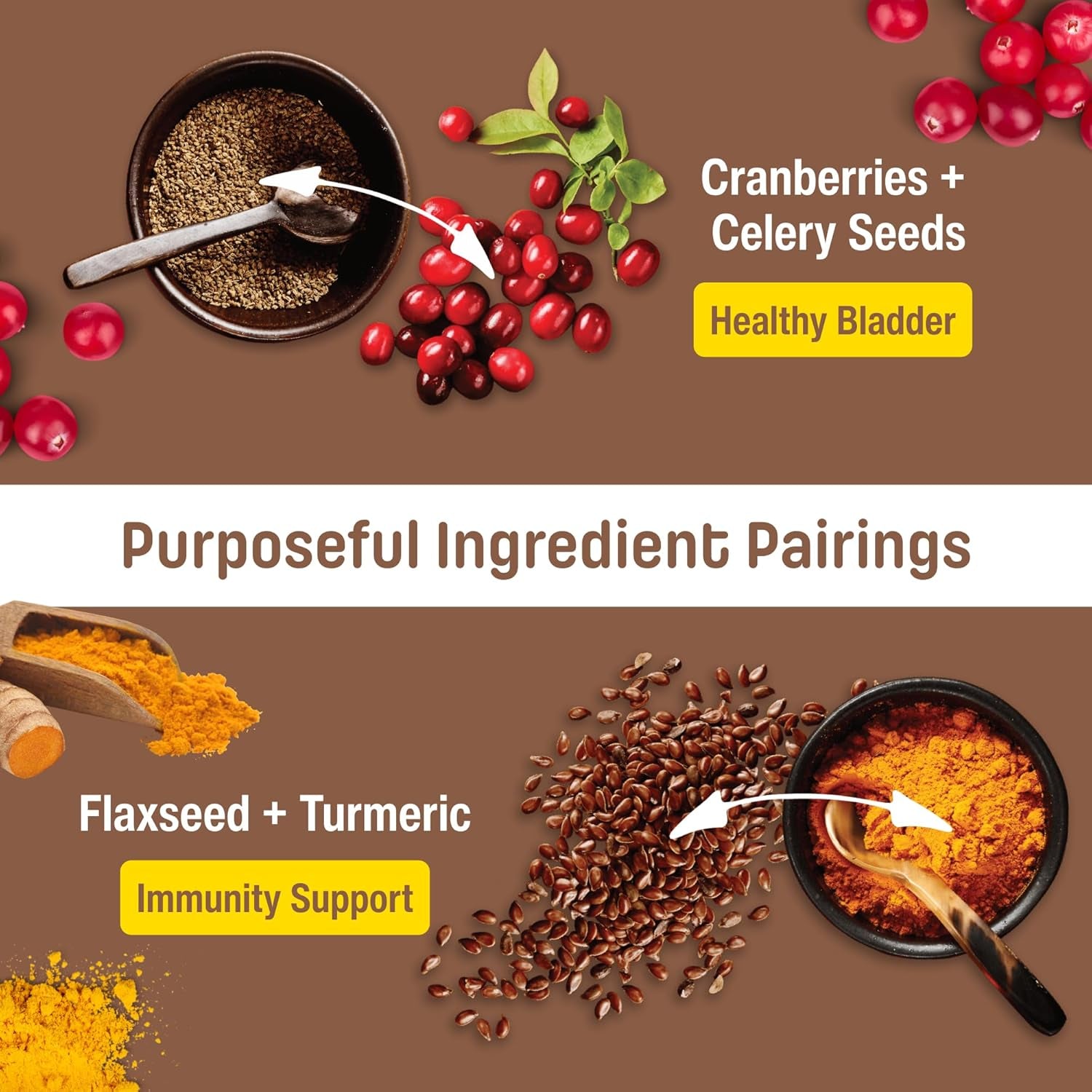 T22 Grain-Free Cat Food – Chicken & Turkey Dry Kibble | Holistic Andhigh Protein, Urinary Support, Clean Nutrition for Adult Cats & Kittens | Supports a Strong Immune System (4.4 Pounds)