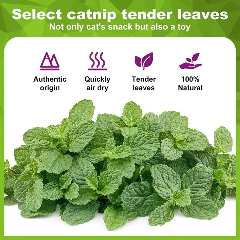 5/10/20Pcs Natural Catnip Balls Kitten Cat Nip Ball Licker Toy for Cats of All Breeds,Lick Ball Toys That Fascinate Pet Cats